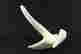 item-57951321=1