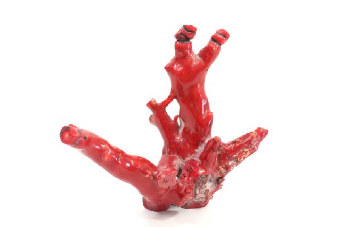 Red Coral Branch: Approx. 8" H x 8 1/2" W. (6232)