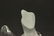 Glass & Crystal Lot, Including Swarovski & Steuben - 8