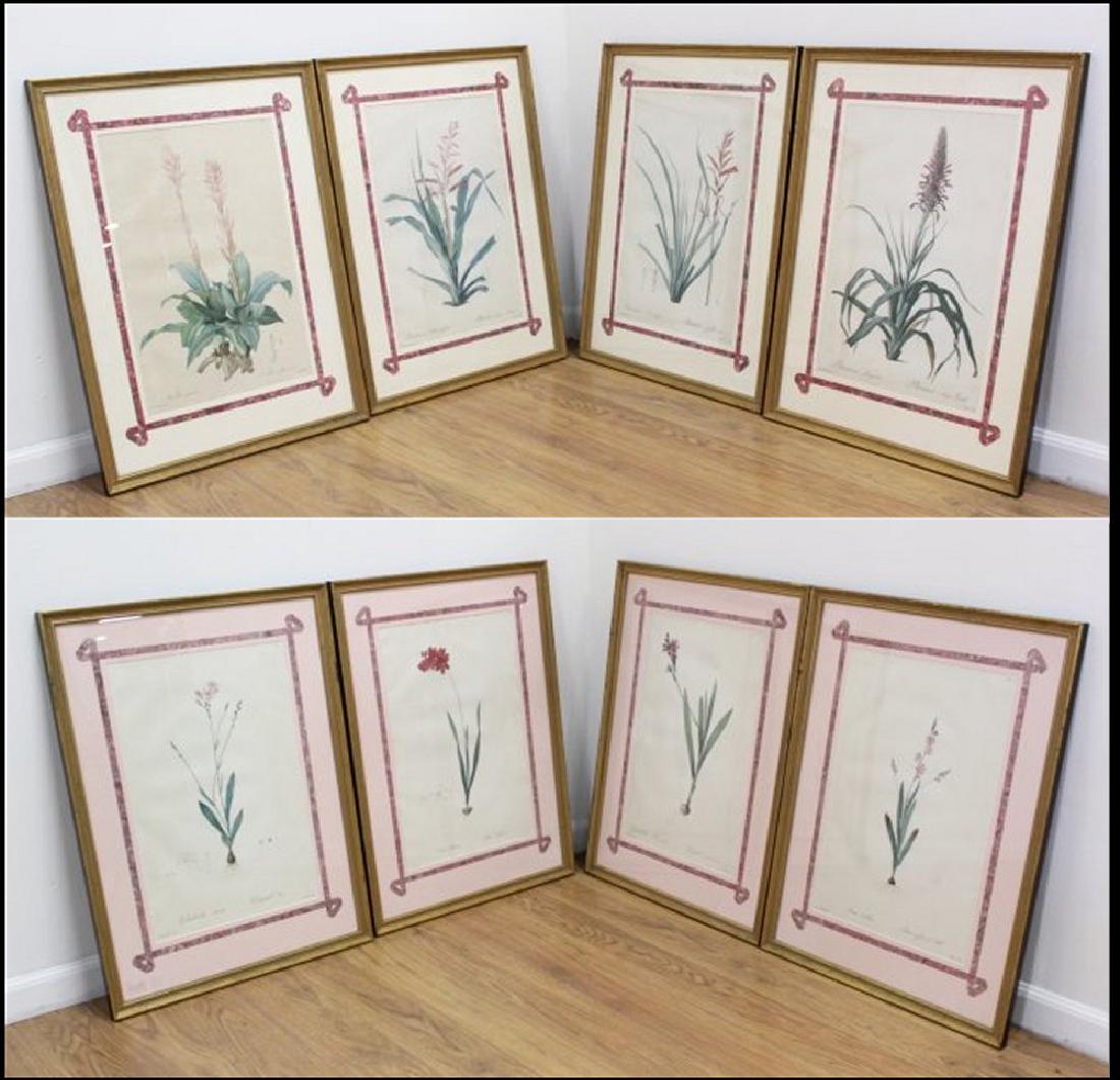 :After Pierre-Joseph Redouté, 8 Floral Prints (1 of 7)