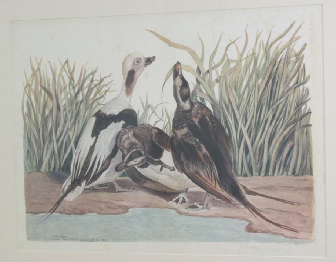 Carroll Sargent Tyson Jr., "Old Squaws" (1 of 4)