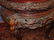 252: 19TH C. ORIENTAL MAHOGANY CARVED TABLE - 2