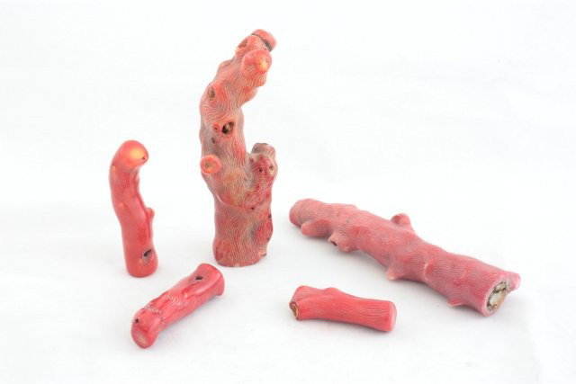 Bag of 5 pieces of beautiful coral trees