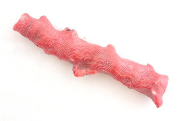 Bag of 5 pieces of beautiful coral trees - 3