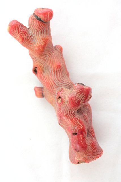 Bag of 5 pieces of beautiful coral trees - 4