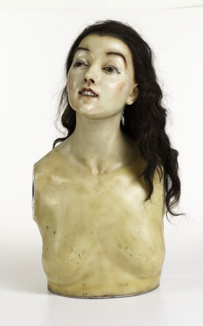 Wax bust mannequin by Penrre Imans: Brown hair, brown eyes, glass eyes, porcelain teeth & human hair. Manufactured by Pierre Imans, Paris, France. (The world's premier Wax Mannequin maker) 1850's-1930's. Approx. 23" H x 13" W