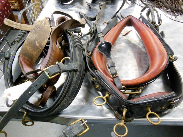 Show Black patent leather driving harnass: Full horse size. Including 2 full bridles with bits & driving leathers & reins. Complete set. From the Colts Neck, NJ Estate of Duncan Thecker.
