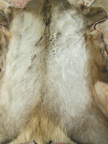 Elk skin rug: Approx. 66" x 47".