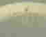 item-28092641=6