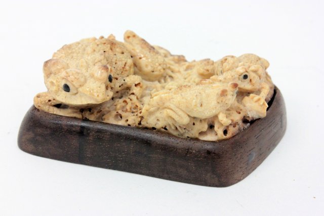 Carved Chinese mastodon bone depicting frogs: Approx. 2 1/2" wide, 2" depth.