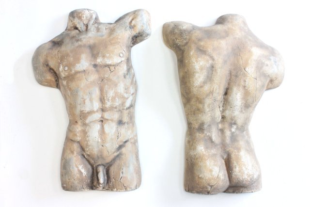 Pair of Male plaster torsos: Approx. 18 1/2" H. (3919.21)
