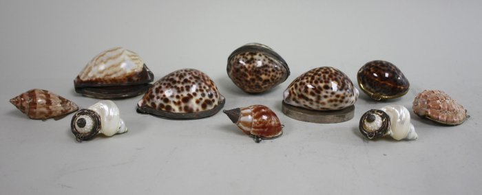 10 shell boxes with silver & silver plated lids (1 of 7)