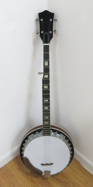 5 String Banjo: With case. Unsigned. (4097)