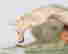 item-46024602=6