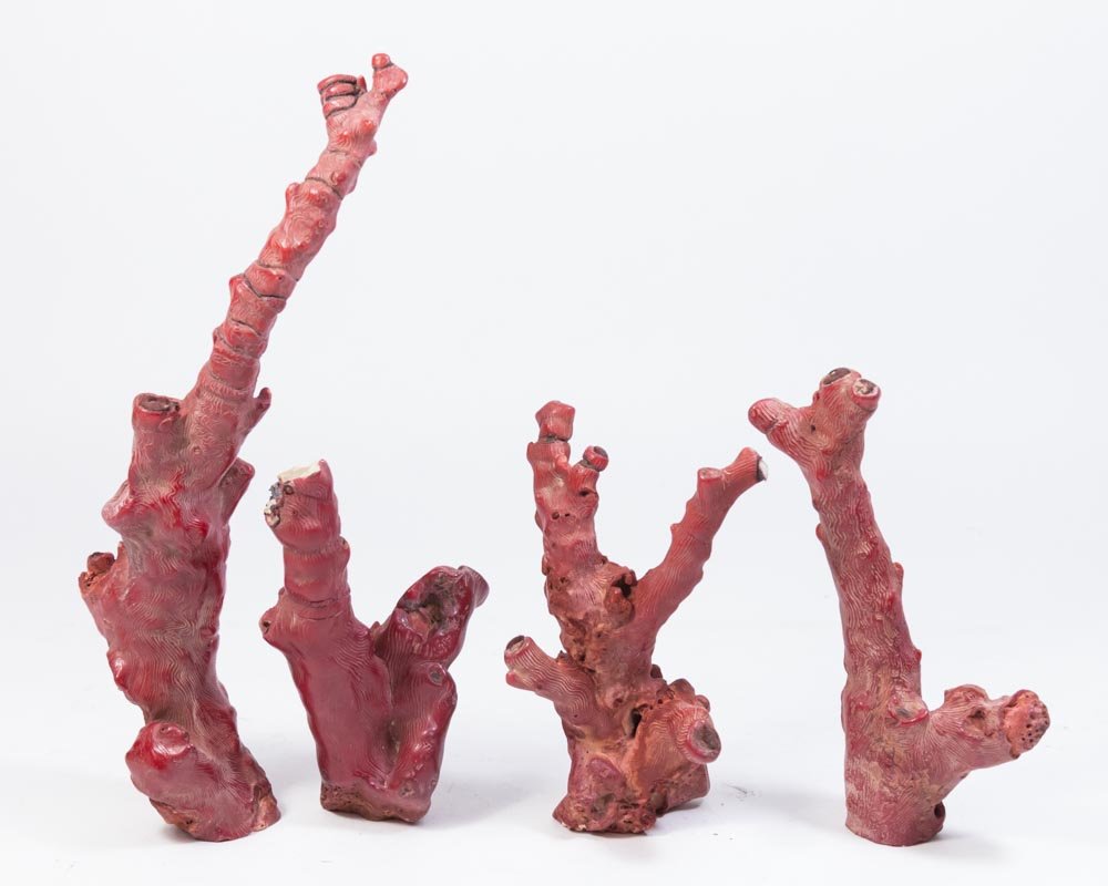 4 Pieces of Coral: Tallest approx. 11 1/2" H.