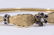Sapphire & Diamond 14K Yellow Gold Bracelet - 2