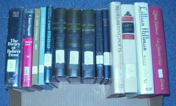 Guest Frost Fitzgerald AMERICAN LITERATURE Elbe