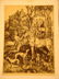 4002: Claye OEUVRE ALBERT DURER c1880 Works Plates Foli - 8