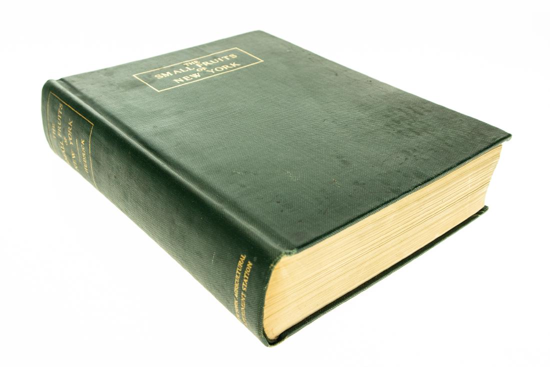 U P Hedrick THE SMALL FRUITS OF NEW YORK 1925 (1 of 20)