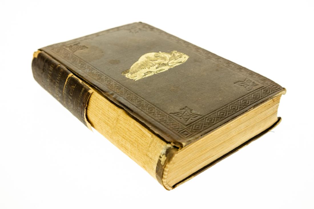 Charles John Andersson LAKE NGAMI OR EXPLORATIONS AND (1 of 15)