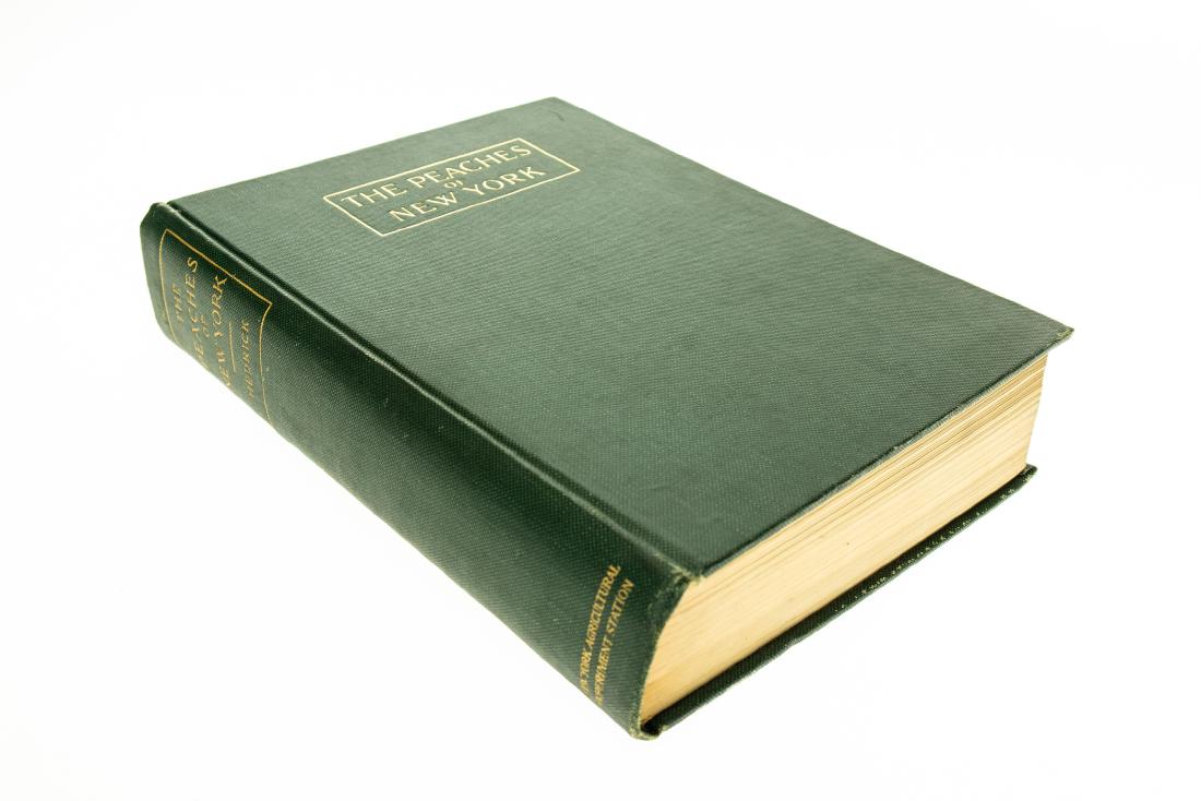 U P Hedrick THE PEACHES OF NEW YORK 1917 First Edition (1 of 18)
