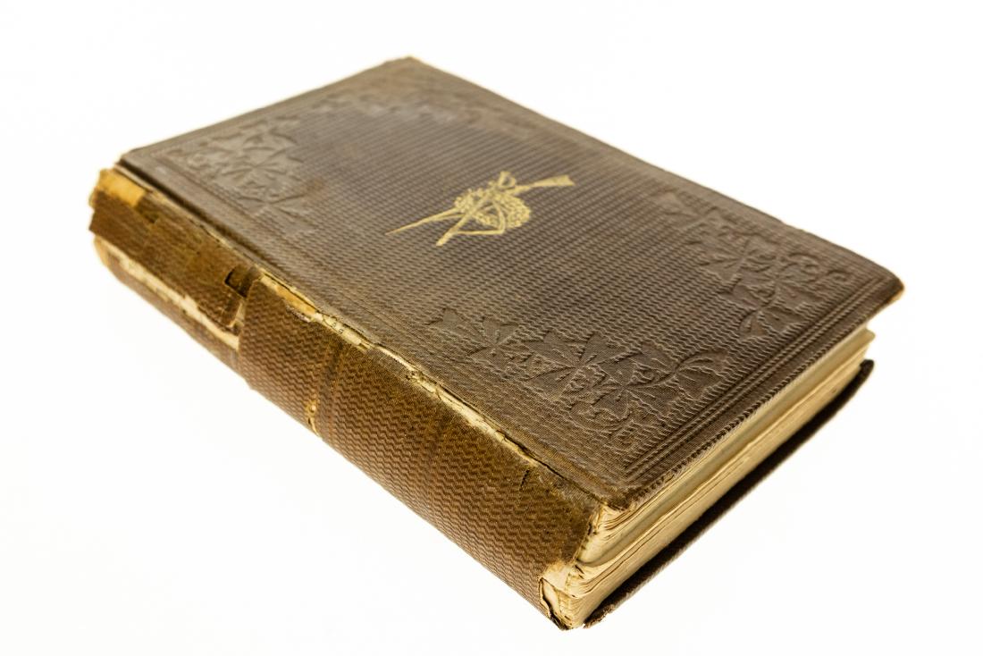 David W Judd THE STORY OF THE THIRTY-THIRD N Y S VOLS (1 of 20)