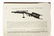 11V Collectible Estate Books MILITARY & FIREARM HISTORY - 11