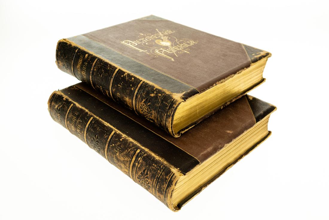 2V William Cullen Bryant PICTURESQUE AMERICA OR THE (1 of 20)