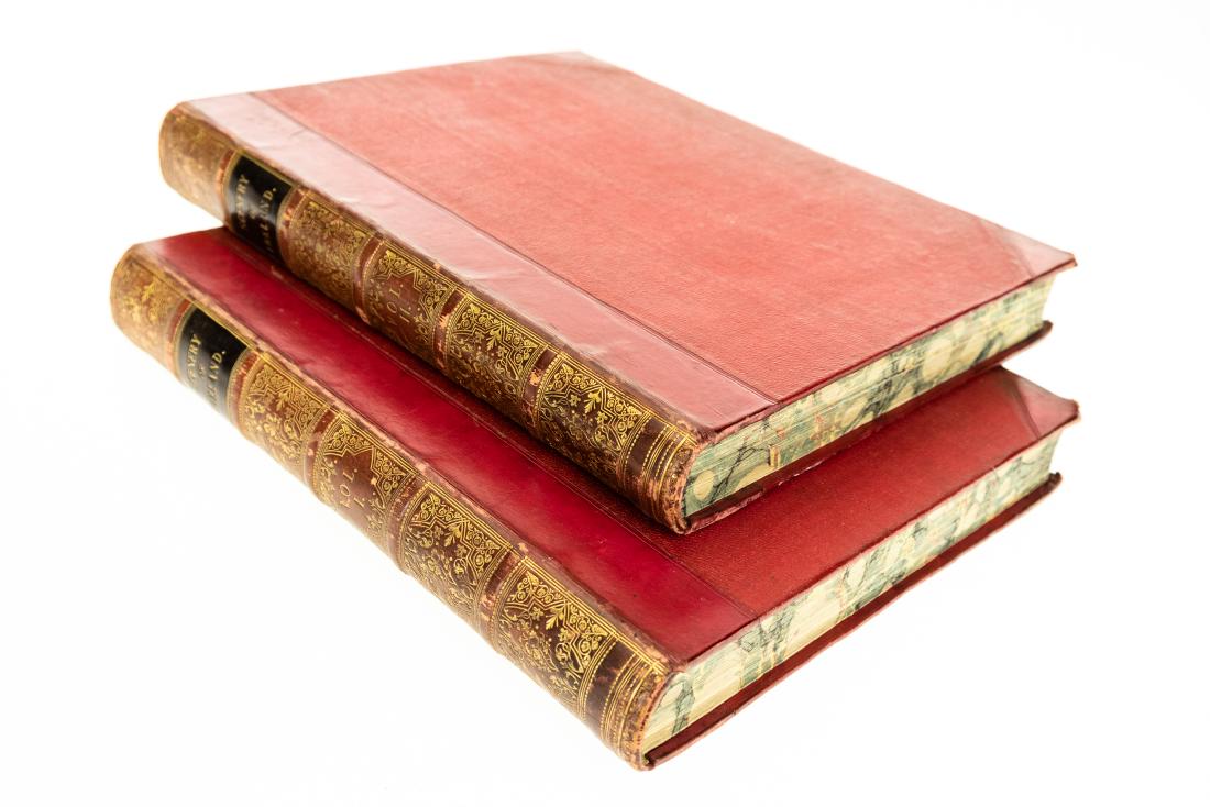 2V William Henry Bartlett THE SCENERY AND ANTIQUITIES (1 of 16)