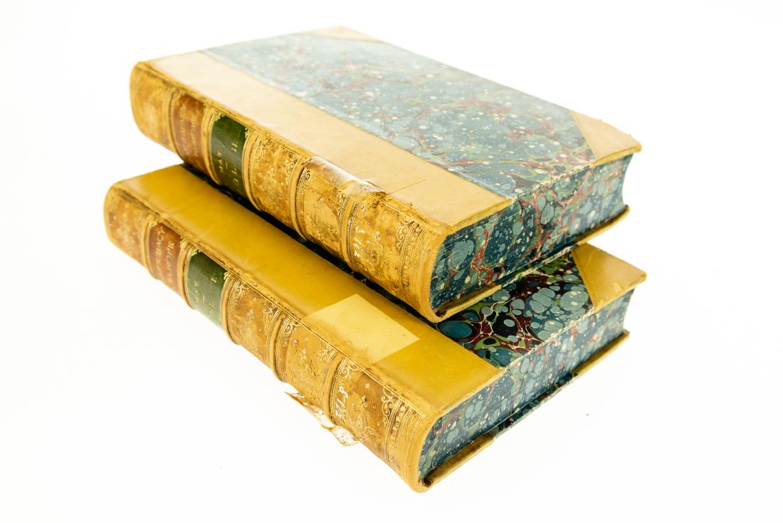 2V Thomas Erskin May DEMOCRACY IN EUROPE 1877 Deluxe (1 of 9)