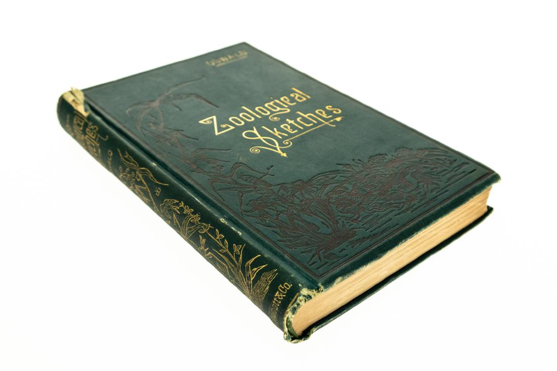 Felix L Oswald ZOOLOGICAL SKETCHES A CONTRIBUTION TO (1 of 13)