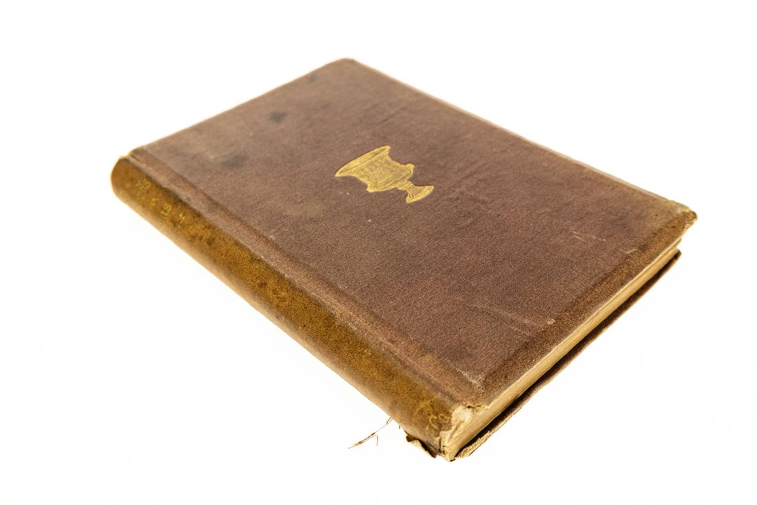 John Townsend Trowbridge THE VAGABONDS 1869 Gilt (1 of 7)