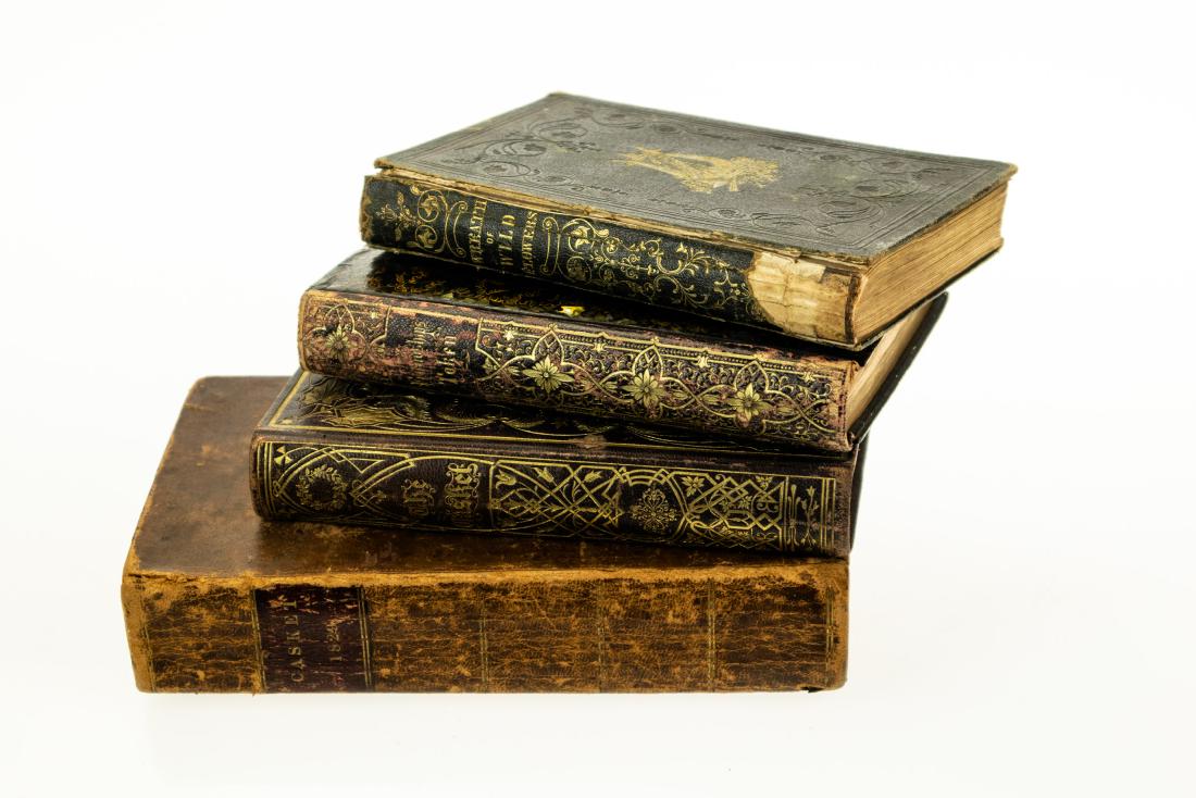 4V Collectible Books ANTIQUE GIFT BOOKS AND ALBUMS: 4V Collectible Books ANTIQUE GIFT BOOKS AND ALBUMS Ladies Color Plates Decorative Gilt Engraved Illustrations Wreath of Wild Flowers Literary Miscellanies of John Milton Stearns 1846 The Casket Gift B
