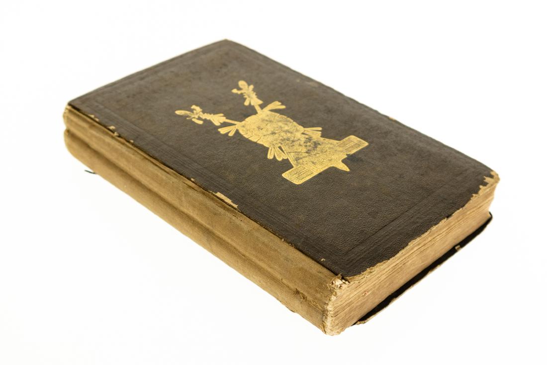 John L Stephens INCIDENTS OF TRAVEL IN CENTRAL AMERICA: John L Stephens INCIDENTS OF TRAVEL IN CENTRAL AMERICA CHIAPAS AND YUCATAN 1841 Gilt Engraved Illustrations Tissue-Guarded Plates Drawn by Frederick Catherwood Balize Culture Earthquake Flora Ruins Mo