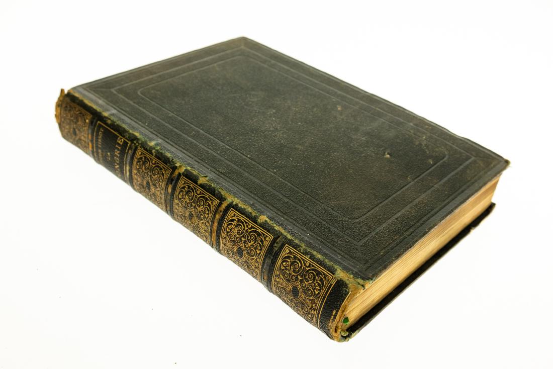 Victor Tissot LA HONGRIE DE L ADRIATIQUE AU DANUBE: Victor Tissot LA HONGRIE DE L ADRIATIQUE AU DANUBE IMPRESSIONS DE VOYAGE 1883 Decorartive Gilt Engraved Illustrations Tissue-Guarded Heliogravures Valerio Drawings by Poirson Fold-Out Color Map Austri