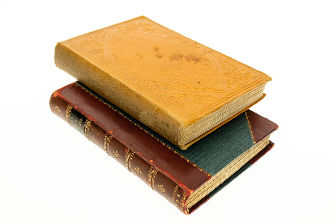 2V Alexander Ross THE FUR HUNTERS OF THE FAR WEST A: 2V Alexander Ross THE FUR HUNTERS OF THE FAR WEST A NARRATIVE OF ADVENTURES IN THE OREGON AND ROCKY MOUNTAINS 1855 First Edition Decorative Fancy Binding History US Canada Native American Indians Nez 