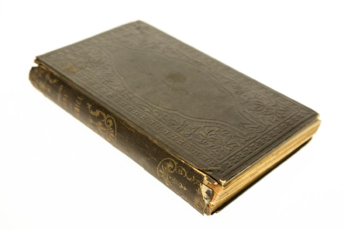 Daniel Curry NEW-YORK A HISTORICAL SKETCH OF THE RISE: Daniel Curry NEW-YORK A HISTORICAL SKETCH OF THE RISE AND PROGRESS OF THE METROPOLITAN CITY OF AMERICA BY A NEW-YORKER 1853 First Edition Gilt Engravings Illustrated History New Amsterdam Revolutionar