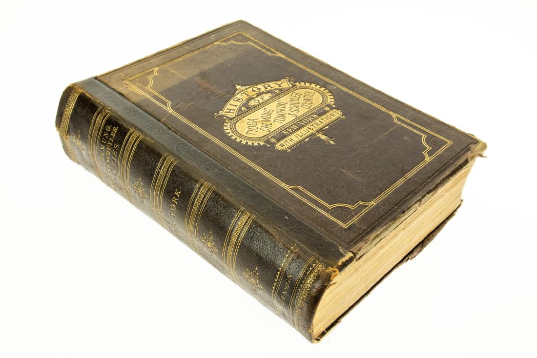 HISTORY OF TIOGA CHEMUNG TOMPKINS AND SCHUYLER COUNTIES: HISTORY OF TIOGA CHEMUNG TOMPKINS AND SCHUYLER COUNTIES NEW YORK 1879 Decorative Gilt Illustrated Plates Engravings Portraits Residences Ithaca Lansing Danby Jacksonville Watkins Glen Owego Candor Car