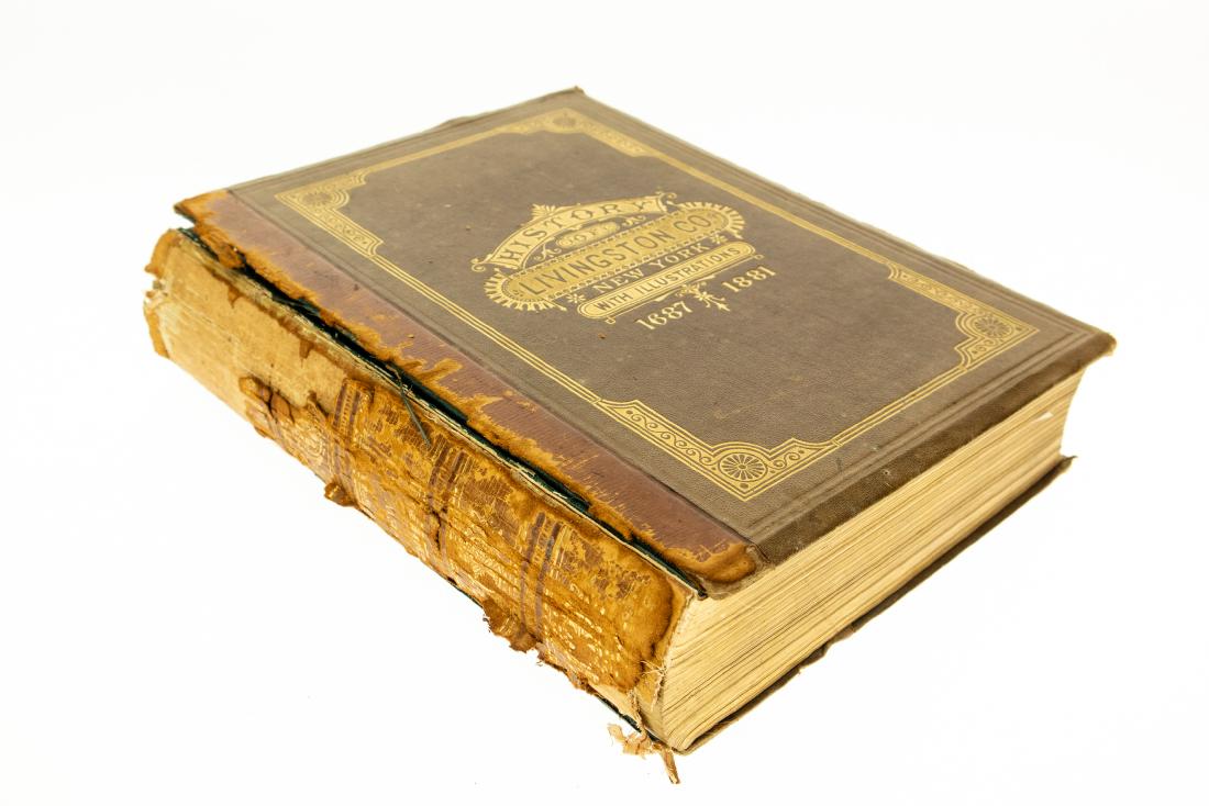 James H Smith HISTORY OF LIVINGSTON COUNTY NEW YORK: James H Smith HISTORY OF LIVINGSTON COUNTY NEW YORK 1687-1881 1881 Gilt Decorative Illustrated Engraved Biographical Sketches North Dansville Ossian Springwater Sparta West Sparta Nunda Portage Mount 