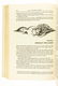 Harlan Ellison AGAIN DANGEROUS VISIONS 46 ORIGINAL - 11