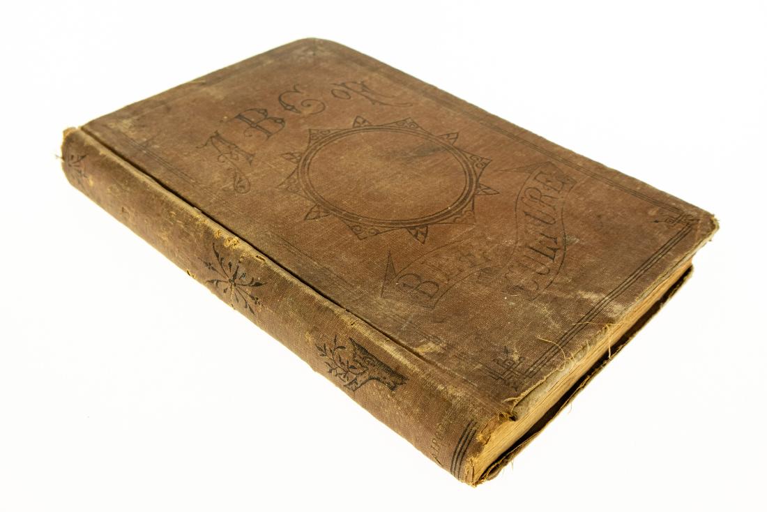A I Root THE ABC OF BEE CULTURE 1877 First Edition Very: A I Root THE ABC OF BEE CULTURE 1877 First Edition Very Rare Illustrated Beekeeping Care of the Honey‐Bee Hives Plants Cyclopedia Reference Title: The ABC of Bee Culture: A Cyclopaedia of Ev