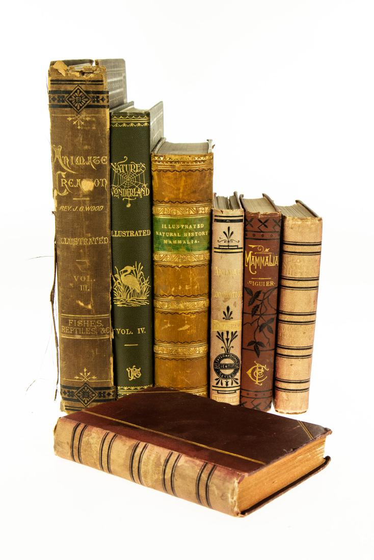 7V DECORATIVE ANTIQUE NATURAL HISTORY Gilt Illustrated: 7V DECORATIVE ANTIQUE NATURAL HISTORY Gilt Illustrated Plates Chromolitho Mammalia E Perceval Wright Animal Locomotion J Bell Pettigrew First American Edition Birds Great Britain R Bowdler Sharpe Illu