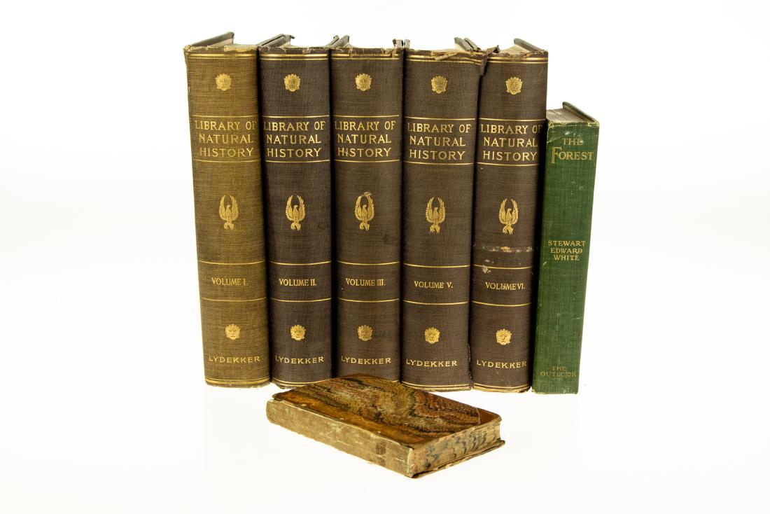 7V DECORATIVE ANTIQUE NATURAL HISTORY Ornithology: 7V DECORATIVE ANTIQUE NATURAL HISTORY Ornithology Bird‐Architecture James Rennie Forest Stewart Edward White First Edition Library of Natural History Richard Lydekker Chromolitho Plates Anim