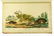Large Folio ‐ ANTIQUE SCRAPBOOK OF PLATES c1845 - 11