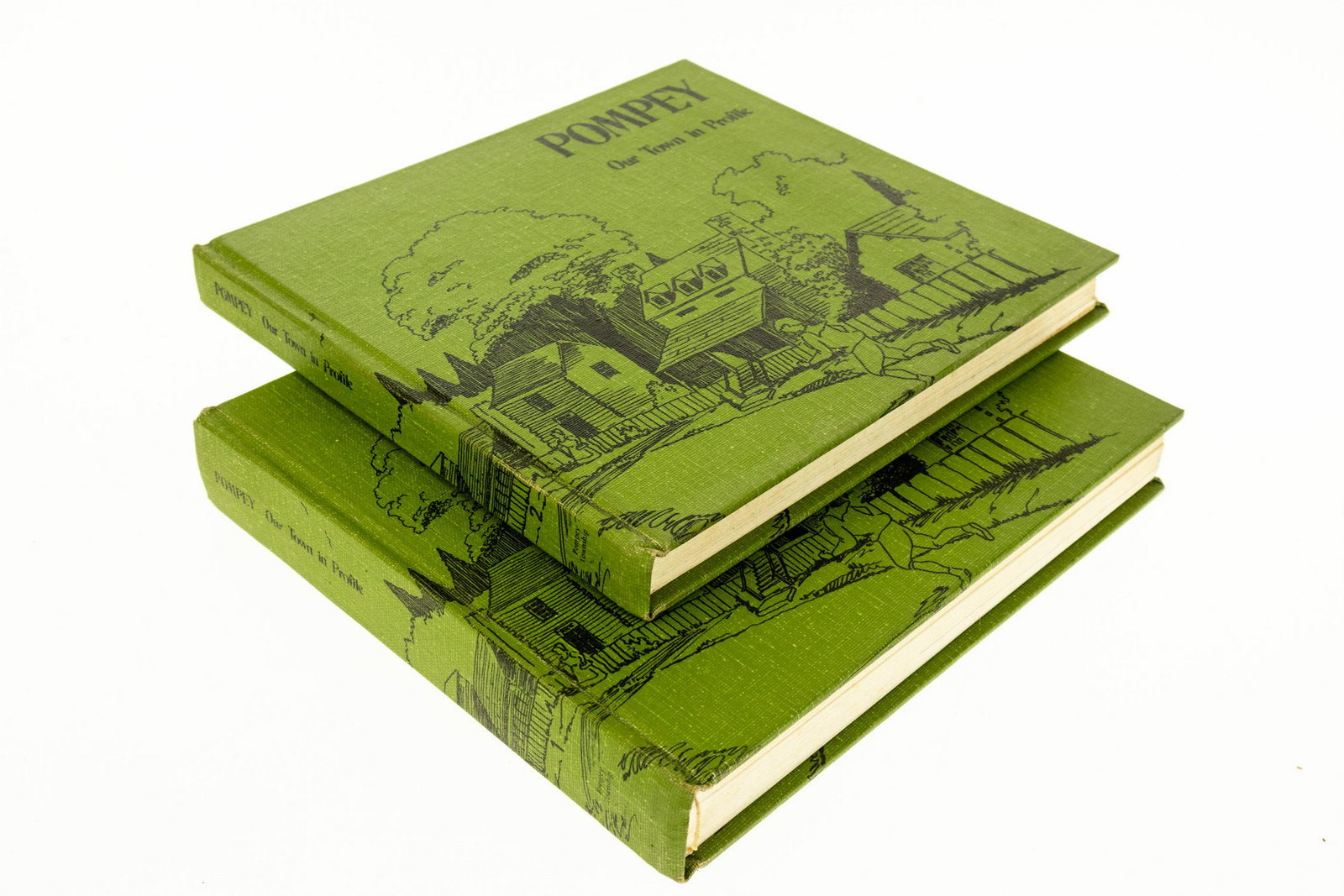 Limited Edition ‐ 2V Sylvia Shoebridge, et al.: Limited Edition ‐ 2V Sylvia Shoebridge, et al. POMPEY OUR TOWN IN PROFILE 1976 Scarce Central New York Reference Records Documentation Illustrated Photographs Diagrams Maps Fold‐Out Map La