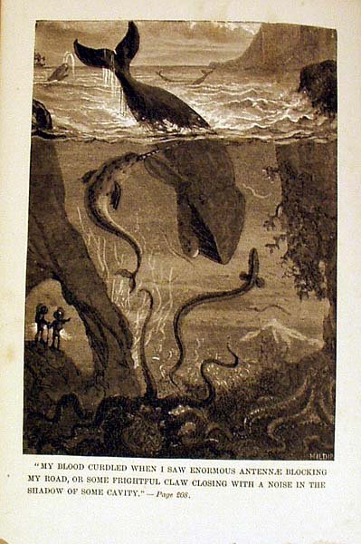 Verne 20,000 LEAGUES UNDER THE SEA 1874 Engraving - 3