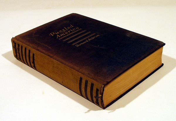 Anderson PUZZLED AMERICA 1925 Inscribed First