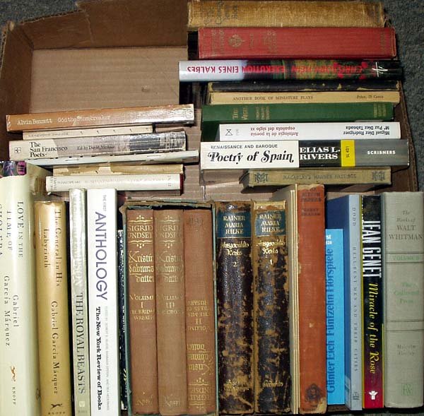 Spain Poetry Genet LITERATURE Rilke Whitman Hein