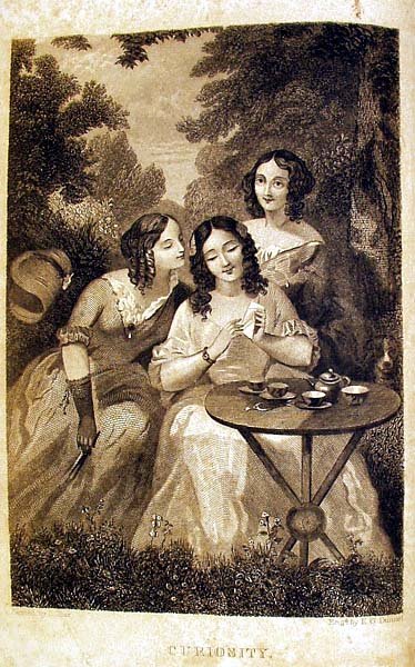 Martyn LADIES' WREATH ANNUAL 1851 Botanical Plate - 4