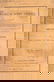 669: Gray Flora North America 1838-1843 softcover rare - 3